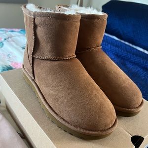 Short Uggs chestnut brand new never worn size 7